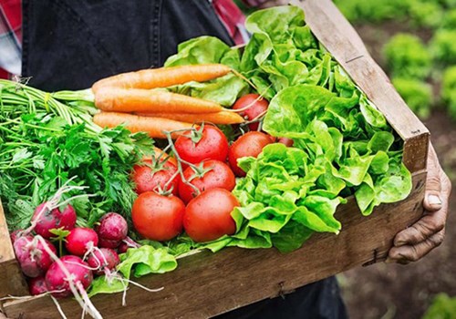 Vì sao nên chọn thực phẩm hữu cơ ?